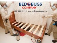 Bed Bugs Company image 1